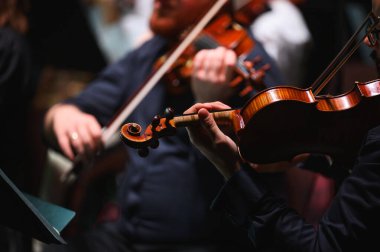 Bir orkestra konseri sırasında bir kemanın ayrıntıları