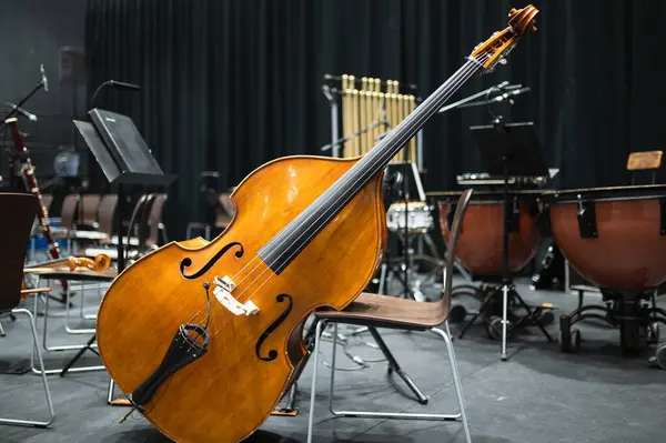 Arka planda çift bas baş ve diğer orkestra enstrümanları