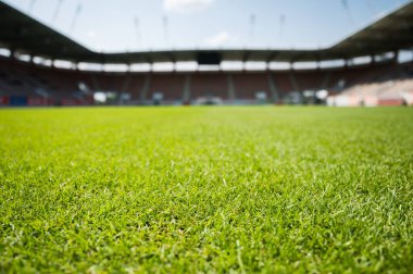 Güneşli yaz gününde futbol stadyumunda çimenler