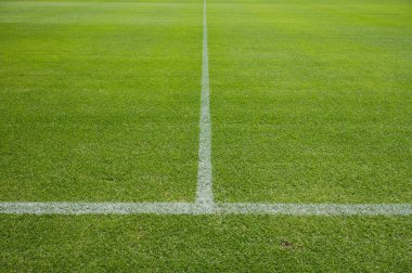 Futbol sahasında çimlerin üzerinde beyaz çizgi