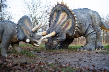 LUBIN, POLAND - 31 Aralık 2023 Park Wroclawski 'deki dinozor triceratops' un gerçekçi modeli. Park, Polonya 'nın bu bölgesindeki çocuklar için iyi bilinen bir turizm merkezi..