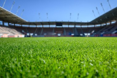 Güneşli yaz gününde futbol stadyumunda çimenler