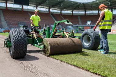 LUBIN, POLAND - 1 Haziran 2021: işçiler Zaglebie Lubin Stadyumu 'ndaki bir futbol sahasında çimen döşüyorlar.
