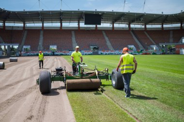 LUBIN, POLAND - 1 Haziran 2021: işçiler Zaglebie Lubin Stadyumu 'ndaki bir futbol sahasında çimen döşüyorlar.
