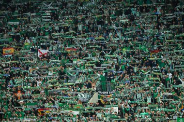 WROCLAW, POLAND - 28 Mayıs 2025 UEFA Konferans Ligi Final Maçı Real Betis - Chelsea. Eşarplı Betis destekçileri.