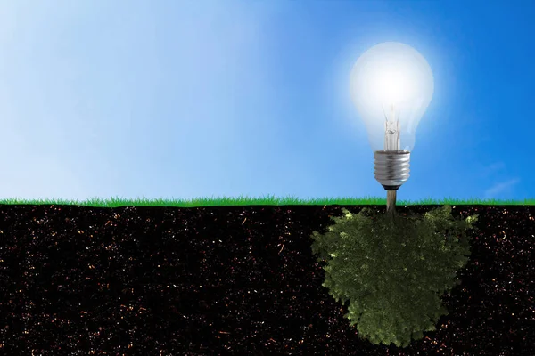 Concept Écologique Consommation Énergie Arbre Ampoule Sur Herbe Verte — Photo