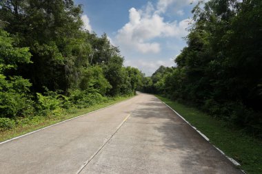 Gündüz vakti arka planda mavi gökyüzü manzaralı beton yol ve arabasız boş yol.