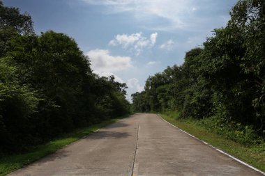 Gündüz vakti arka planda mavi gökyüzü manzaralı beton yol ve arabasız boş yol.