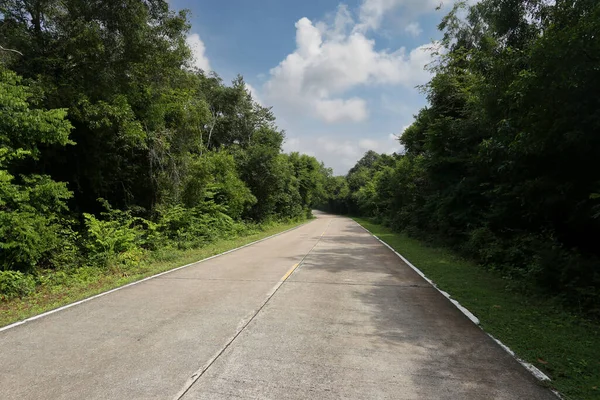 Gündüz vakti arka planda mavi gökyüzü manzaralı beton yol ve arabasız boş yol.
