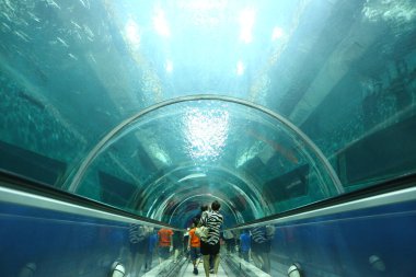 Akvaryum geçidindeki cam tünelin arka görüntüsü Tayland 'da popüler bir turist akvaryumu cezbediyor.