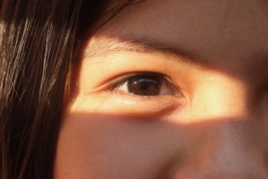 Sevimli bir kızın gözleri ve akşam güneşi yüzüne vurunca sanki ışık yüzüne yansımış gibi oldu..