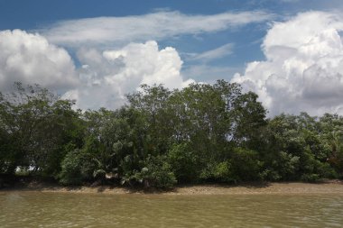 Pang Pakong Nehri 'nin etrafındaki manzara, kayalar, ağaçlar ve gökyüzünde beyaz bulutlar. Tayland 'ın Chachoengsao eyaletinde.