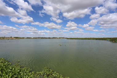 Bueng Thung Sang 'ın kıyı boyunca büyüyen su sümbülleri var. Açık bir günde, Tayland 'ın Khon Kaen şehrinde gökyüzünde beyaz bulutlar vardı..