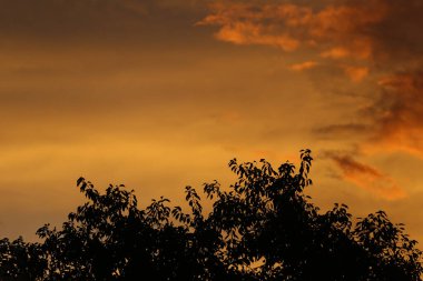 Gün batımından sonra gökyüzü manzaralı gökyüzü manzaralı gökyüzü manzaralı bulutlar..