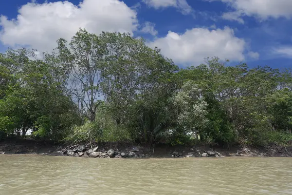 Stock image Landscape around the Pang Pakong River, with rocks, trees on the shore, and white clouds in the sky. which is in Chachoengsao Province of Thailand