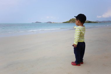 A boy about two years old was wearing a long-sleeved shirt standing on the beach, looking at the seascape with interest. clipart