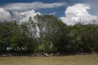 Pang Pakong Nehri 'nin etrafındaki manzara, kayalar, ağaçlar ve gökyüzünde beyaz bulutlar. Tayland 'ın Chachoengsao eyaletinde.