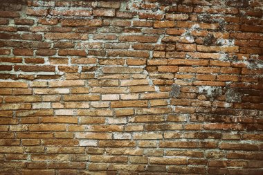 Kırmızı tuğla duvarın yüzeyi eski, kirli ve iş tezgahınızın tasarımı için siyah küflerle kaplı.. 