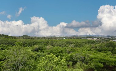Yeşil orman manzarası ve Pinthong 3 Endüstriyel Konutları, Chonburi 'nin Sriracha İlçesi' nde yer alıyor. Arka planda gökyüzü ve beyaz bulutlar var. Yağmur mevsiminde ağaçlar taze ve yeşildir..