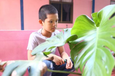 Düşünceli genç bir çocuk yemyeşil bitkilerin arasında oturur, sakin bir açık hava ortamını yansıtır. Görüntü, masumiyeti ve doğal çevredeki tefekkürü yakalar..