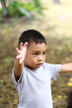 Gri tişörtlü genç bir çocuk yeşilliklerle çevrili doğal bir ortamda neşeli bir şekilde hareket eder. Yüzündeki ifade çocukluk masumiyetinin ve oyunculuğun özünü yansıtıyor..