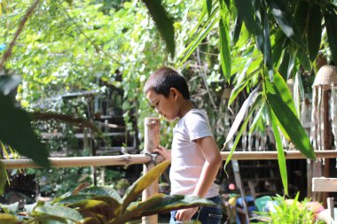 Genç bir çocuk verimli bir yeşilliğin ortasında düşünceli bir şekilde duruyor, sakin bir çevrede doğayı keşfediyor. Güneş ışığı yaprakların arasından süzülür ve güzel bir sahne yaratır..