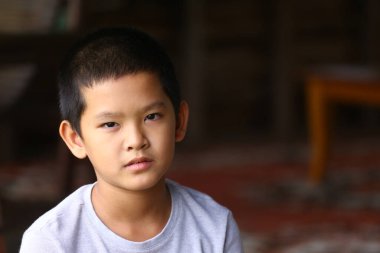 Düşünceli bir çocuk sakin bir iç mekan ortamında sakin bir ifade ve basit bir stil sergileyerek yakalanır. Bu resim çocukluk masumiyetini ve kişiliğini yansıtıyor..