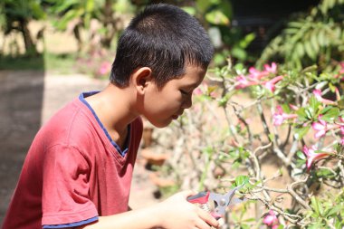 Genç bir çocuk güneşli bir bahçede çiçek açan çiçekleri dikkatlice buduyor ve doğayı besleme sürecinin tadını çıkarıyor. Bu resim gençlik merakını ve bahçıvanlık sevgisini yansıtıyor..