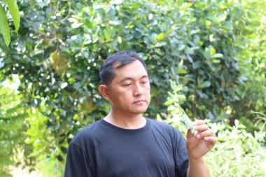 Siyah gömlekli bir adam yeşil bir yaprağı yakından inceliyor. Çevresi canlı yapraklarla çevrili ve doğa ile olan bağını yansıtıyor..