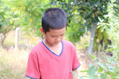 Genç bir çocuk yemyeşil bir bahçede duruyor, etrafındaki bitkileri gözlemliyor. Huzurlu atmosfer çocukluk merakını ve doğayla bağlantısını vurguluyor..