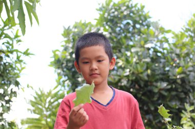Genç bir çocuk yeşil bir yaprak tutarak doğayı keşfeder, açık havada bir merak ve masumiyet anını yakalar..