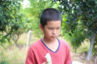 Genç bir çocuk, elinde bir meyve parçasıyla verimli bir bahçede düşünceli bir şekilde duruyor. Onun ciddi ifadesi etrafındaki canlı yeşillikle çelişiyor..