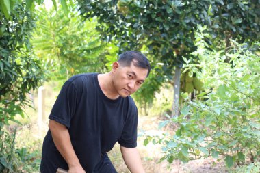 Bahçe işleriyle uğraşan bir adam yemyeşil bitkilerin arasında özenle çalışıyor. Bu görüntü doğaya adanmışlığın ve işçiliğin özünü yakalar..