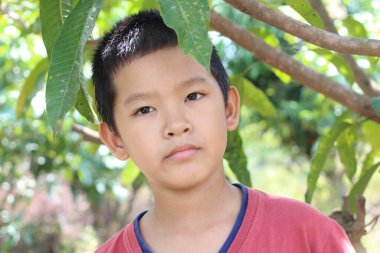 Dalgın bir çocuk yemyeşil yaprakların arasında duruyor, doğal bir ortamda masumiyet ve sükunet hissi yakalıyor, çocukluğu temsil etmek için mükemmel..