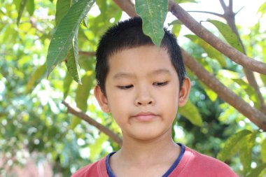 Genç bir çocuk bir ağacın altında duruyor, sakin ve düşünceli bir ifade sergiliyor. Canlı yeşil yapraklar dingin bir zemin sağlar, sakin havayı canlandırır..