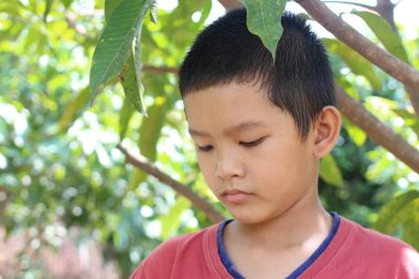 Genç bir çocuk yeşil yapraklarla çevrili yemyeşil bir ortamda düşünceli bir şekilde ayakta duruyor. Onun sakin ifadesi masumiyet ve merakı yansıtıyor, doğadaki huzurlu bir anı yakalıyor..