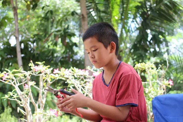 Genç bir çocuk bahçede oturur, bahçe işleri için makası dikkatle kullanır. Yeşillik ve çiçeklerle çevrili olarak, etkinliklerine odaklandığını ve eğlendiğini gösteriyor..