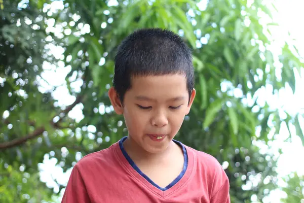 Düşünceli bir ifadeye sahip genç bir çocuk açık havada yemyeşil bir ortamda duruyor, kırmızı bir gömlek giymiş, çocukluk masumiyetinin ve neşesinin özünü yakalıyor..