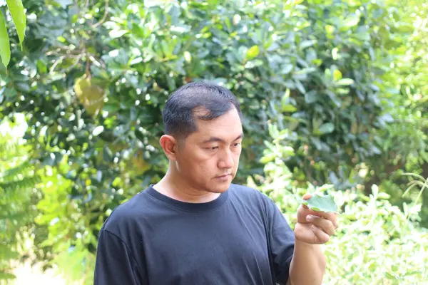 Bir adam yemyeşil bir ortamda yoğunlaşarak doğanın güzelliğini ve çevresel farkındalığın önemini vurgulayan bir yaprak üzerinde çalışır..