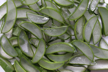 Canlı aloe vera dilimleri doğal güzelliklerini ve sağlıklarına faydalarını gösterir. Çeşitli uygulamalarda cilt bakımı kavramlarını, beslenmeyi ve bitkisel ilaçları teşvik etmek için mükemmel..