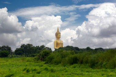Çarpıcı altın Buda heykeli yemyeşil tarlaların ve canlı bulutların arasında ortaya çıkar, huzur ve maneviyatı simgeler, Wat Muang-Ang tangası.
