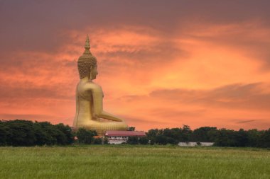 Yan görünüş Büyük altın Buda heykeli çarpıcı bir günbatımı gökyüzüne karşı dimdik duruyor, yeşil manzaranın üzerine dingin bir aura yayıyor, huzur dolu ruhaniliği somutlaştırıyor, Wat Muang-Ang Tangası.