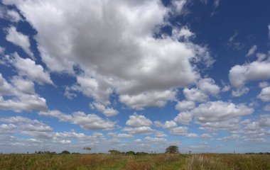 Bitmekte olan bir çayır ve açık bir günde beyaz bulutlarla dolu mavi bir gökyüzü..