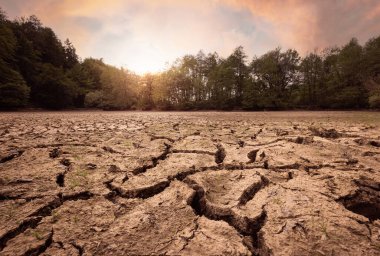 Yaz kuraklığı boyunca kurumuş ve çatlamış çamur zemini, sert yüzey, kurumuş çatlaklarla kaplı doku.