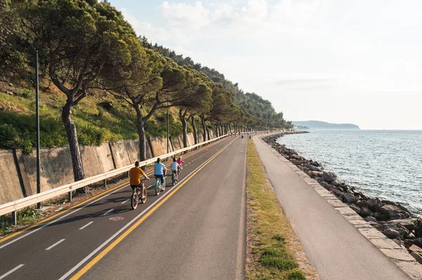 Family bike ride, two parents with a son and a daughter cycling on a flat asphalt path near the rocky sea shore, aerial shot