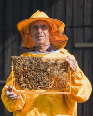 Beekeeper in yellow protective gear holding hive frame with honeycomb, showing capped honey and brood cells