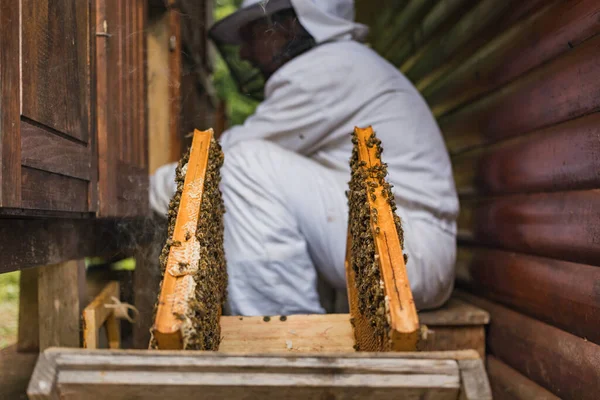 Apiarist Arı Kovanı Kutusundan Ahşap Kovan Çerçevelerini Alıyor Arı Koruyucu — Stok fotoğraf