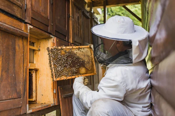 Male Beekeeper Doing Inspection Opening Beehive Checking Brood Honey Side — Stok fotoğraf