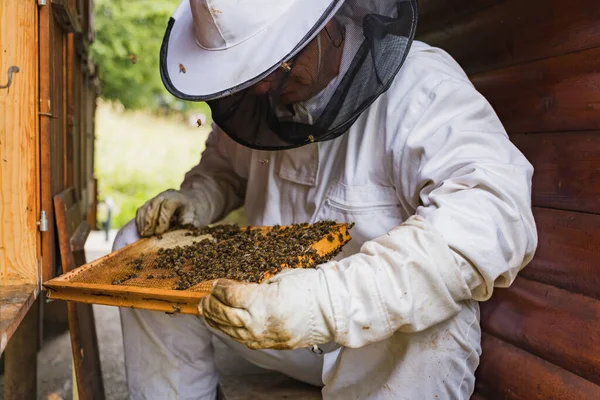 Male Beekeeper Doing Inspection Opening Beehive Checking Brood Honey Side — ストック写真