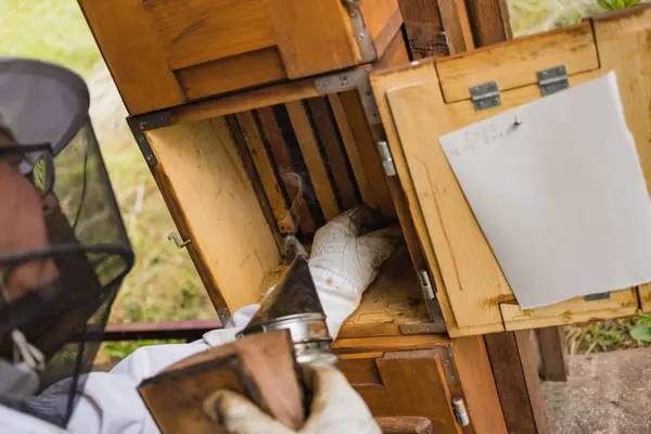 Der Männliche Imker Inspiziert Öffnet Den Bienenstock Kontrolliert Brut Und — Stockfoto